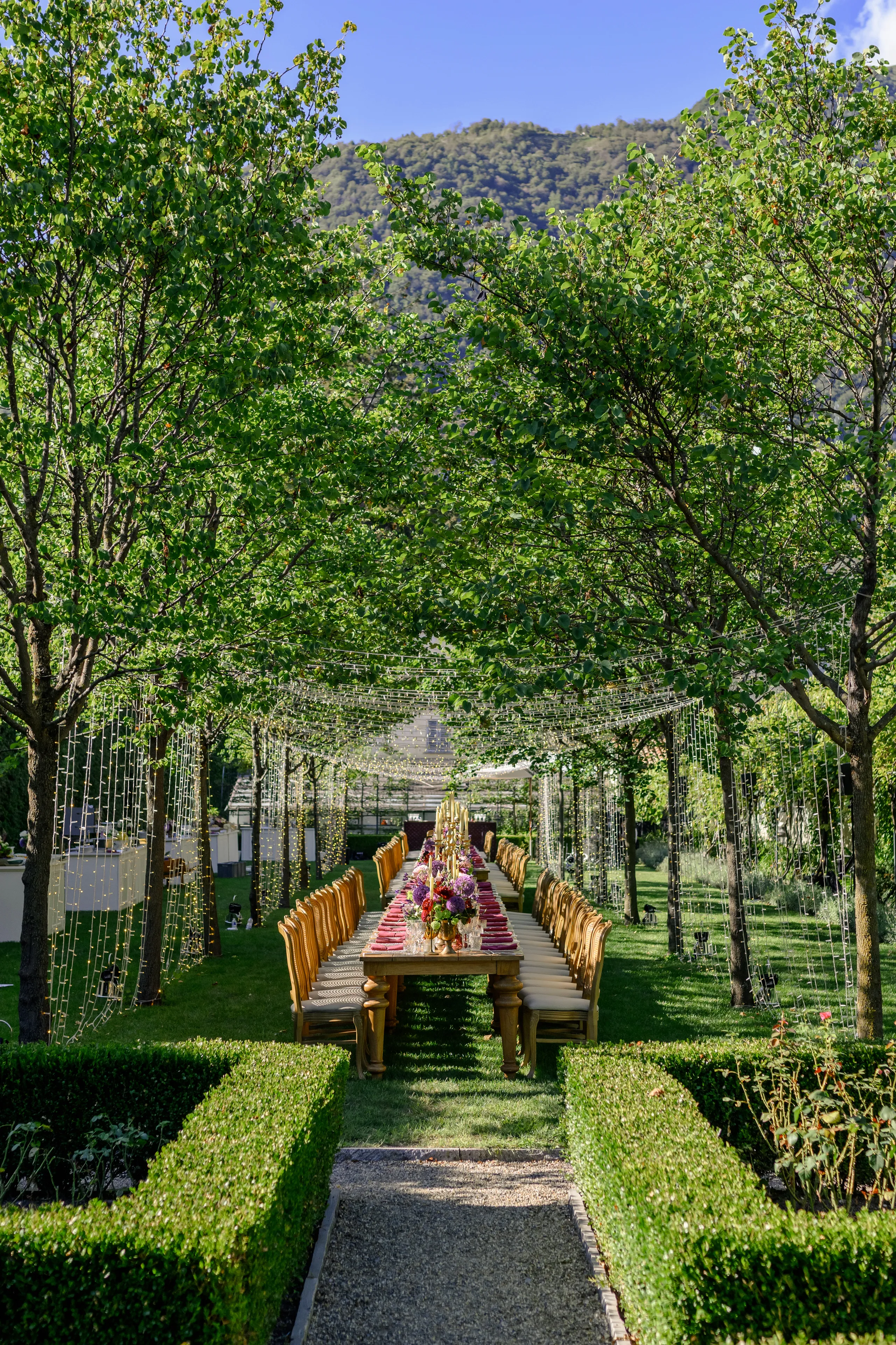 Quiet Vows in Saint-Germain